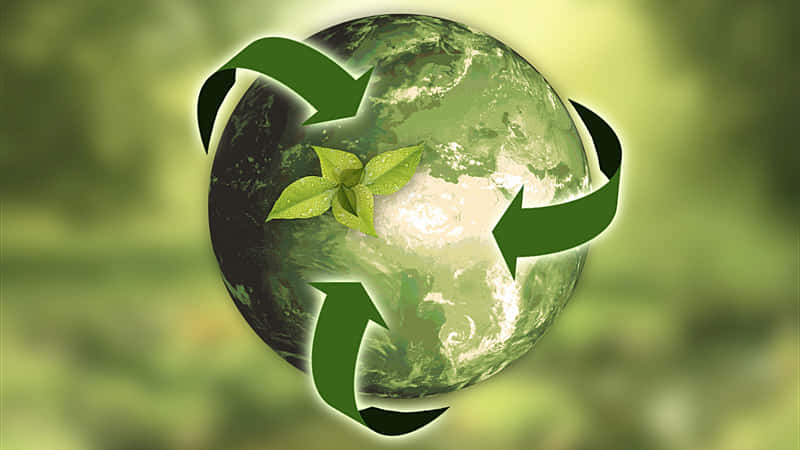 Environmental Standards